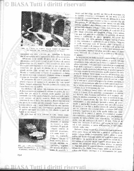 n. 11 (1909) - Pagina: 401
